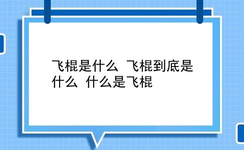 飞棍是什么 飞棍到底是什么？什么是飞棍？插图