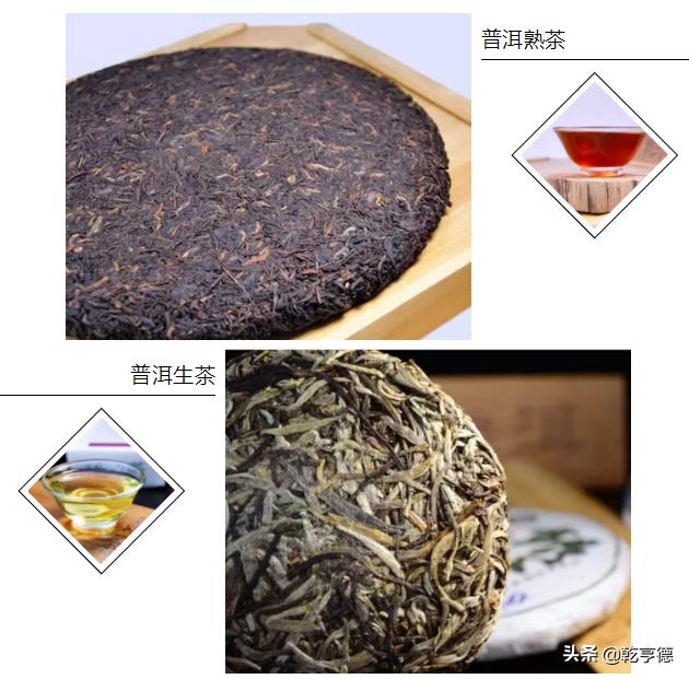 普洱是什么茶 普洱茶属于什么茶？普洱算啥茶？