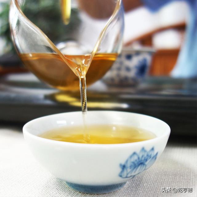 普洱是什么茶 普洱茶属于什么茶？普洱算啥茶？