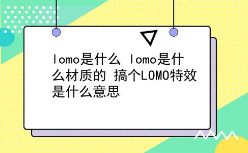 lomo是什么 lomo是什么材质的？搞个LOMO特效是什么意思？插图