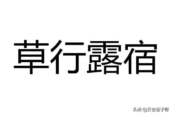 什么宿什么飞 夜宿昼飞是成语？宿能组什么四字词语？