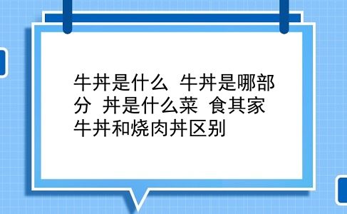 牛丼是什么 牛丼是哪部分？丼是什么菜？食其家牛丼和烧肉丼区别？插图