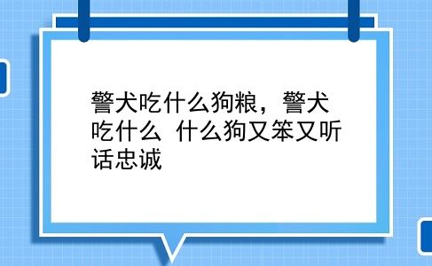 警犬吃什么狗粮，警犬吃什么？什么狗又笨又听话忠诚？插图