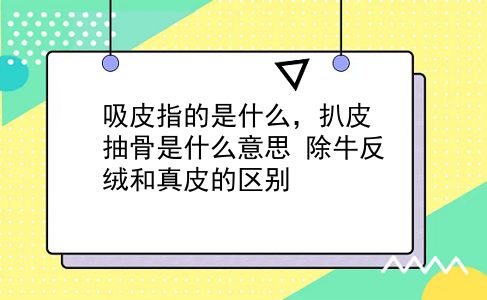 吸皮指的是什么，扒皮抽骨是什么意思？除牛反绒和真皮的区别？插图