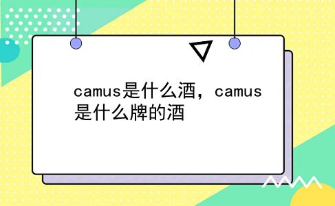 camus是什么酒，camus是什么牌的酒？插图