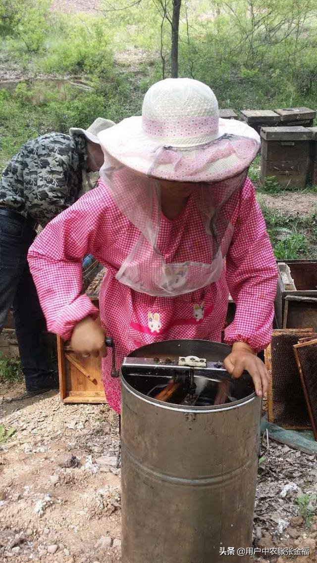 蜂蜜什么牌子的好，蜂蜜哪个牌子好？中国十大蜂蜜产地排名？