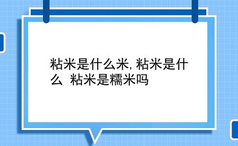 粘米是什么米,粘米是什么?粘米是糯米吗?插图