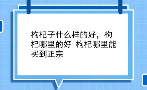 枸杞子什么样的好，枸杞哪里的好？枸杞哪里能买到正宗？插图