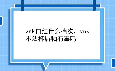 vnk口红什么档次，vnk不沾杯唇釉有毒吗？插图