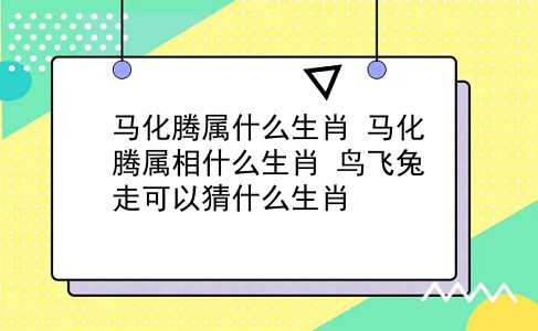 马化腾属什么生肖 马化腾属相什么生肖？鸟飞兔走可以猜什么生肖？插图