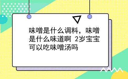 味噌是什么调料，味噌是什么味道啊？2岁宝宝可以吃味噌汤吗？插图