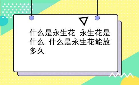 什么是永生花 永生花是什么？什么是永生花能放多久？插图