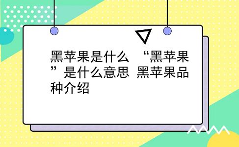 黑苹果是什么 “黑苹果”是什么意思？黑苹果品种介绍？插图