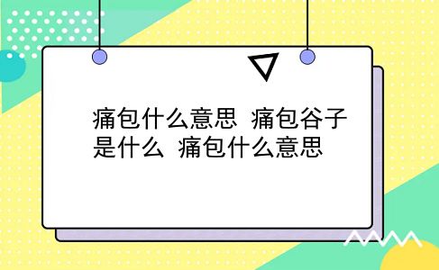 痛包什么意思 痛包谷子是什么？痛包什么意思？插图