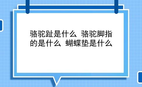 骆驼趾是什么 骆驼脚指的是什么？蝴蝶垫是什么？插图