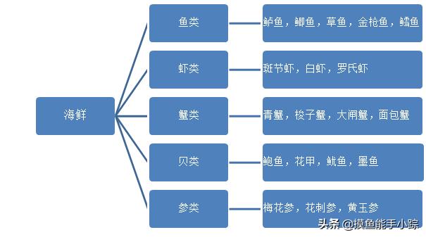 天鹅蛋是什么海鲜 冷冻天鹅蛋海鲜怎么吃？