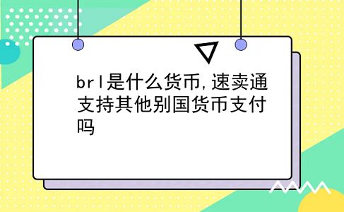 brl是什么货币,速卖通支持其他别国货币支付吗?插图