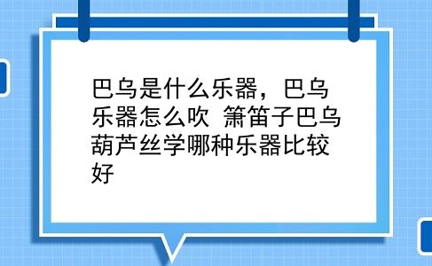 巴乌是什么乐器，巴乌乐器怎么吹？箫笛子巴乌葫芦丝学哪种乐器比较好？插图