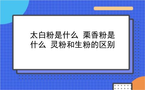 太白粉是什么 栗香粉是什么？灵粉和生粉的区别？插图