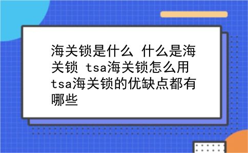 海关锁是什么 什么是海关锁？tsa海关锁怎么用？tsa海关锁的优缺点都有哪些？插图