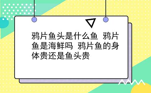 鸦片鱼头是什么鱼 鸦片鱼是海鲜吗？鸦片鱼的身体贵还是鱼头贵？插图