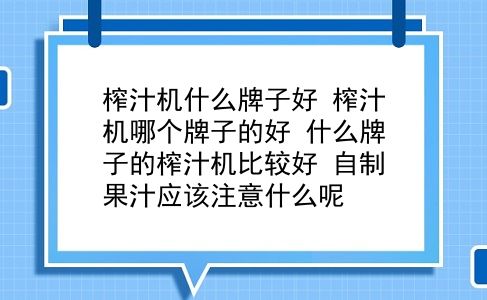 榨汁机什么牌子好 榨汁机哪个牌子的好？什么牌子的榨汁机比较好？自制果汁应该注意什么呢？插图