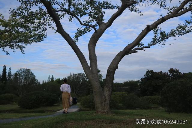 照相机什么牌子好 目前质量较好的家用照片打印机？