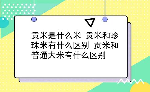 贡米是什么米 贡米和珍珠米有什么区别？贡米和普通大米有什么区别？插图