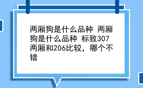 两厢狗是什么品种 两厢狗是什么品种？标致307两厢和206比较，哪个不错？插图