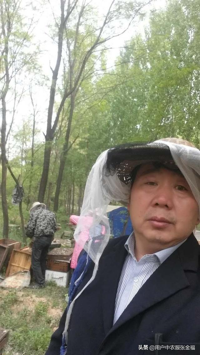 蜂蜜什么牌子的好，蜂蜜哪个牌子好？中国十大蜂蜜产地排名？