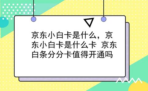 京东小白卡是什么，京东小白卡是什么卡？京东白条分分卡值得开通吗？插图