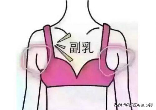 女式内衣什么品牌好 内衣品牌排行榜前十名有哪些？