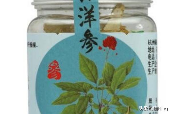 什么牌子的西洋参好 买哪种洋参好？花旗参哪个品牌好有哪些品牌？