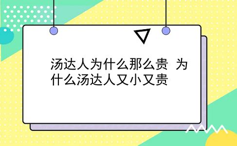 汤达人为什么那么贵 为什么汤达人又小又贵？插图