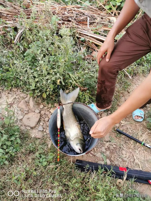 水库钓鱼用什么鱼竿 什么样的鱼竿适合新手在河边，水库钓鱼？