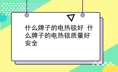 什么牌子的电热毯好 什么牌子的电热毯质量好安全？插图