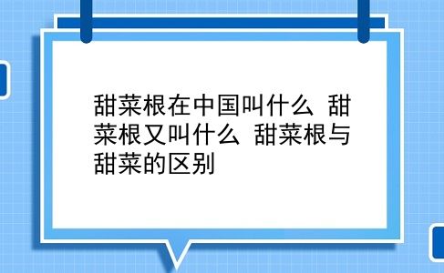 甜菜根在中国叫什么 甜菜根又叫什么？甜菜根与甜菜的区别？插图