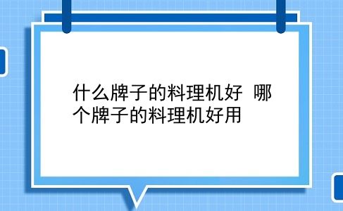 什么牌子的料理机好 哪个牌子的料理机好用？插图