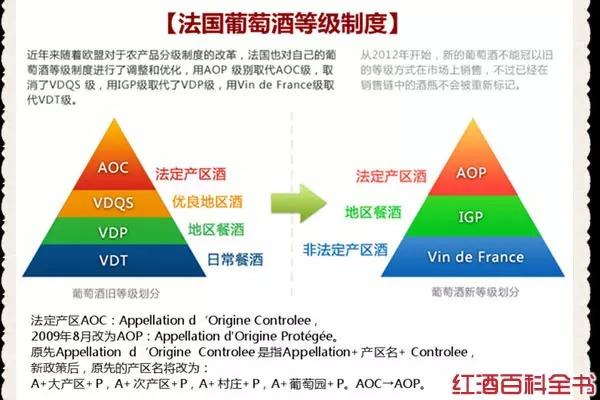 红酒aop级别什么等级 红酒的ao p是什么级别？