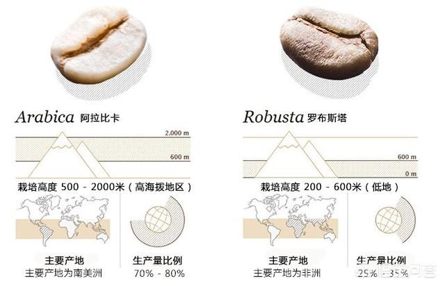 中度烘焙和深度烘焙的咖啡有什么区别 星巴克中度烘焙和深度烘焙区别？