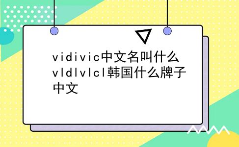 vidivic中文名叫什么 vldlvlcl韩国什么牌子中文？插图