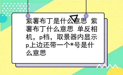 紫薯布丁是什么意思 紫薯布丁什么意思？单反相机，p档，取景器内显示p上边还带一个*号是什么意思？插图