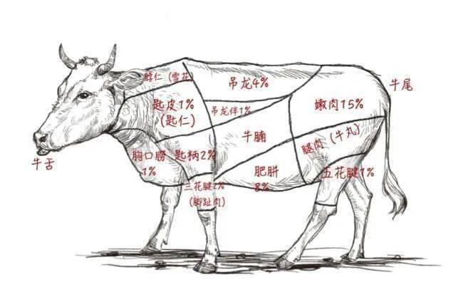 吊龙是牛的哪个部位 牛肉吊龙是牛的哪个部位？