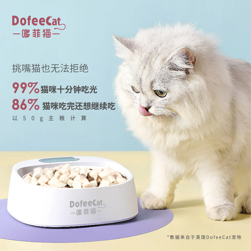 猫粮挑选要多留心，掌握选猫粮的重点