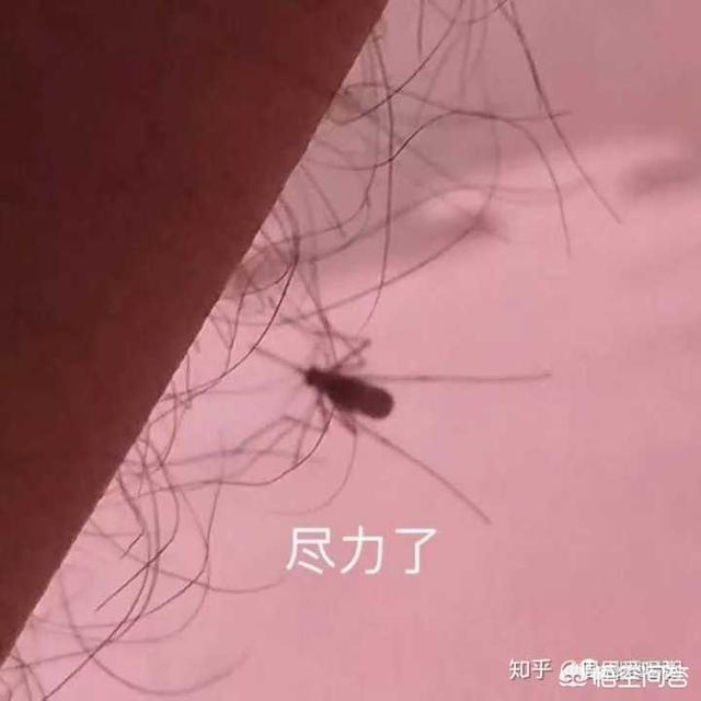 欧莱雅洗发水价格 欧莱雅哪个洗发露系列较好用？