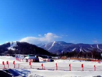 亚布力滑雪场价格 亚布力新体委滑雪场面积？