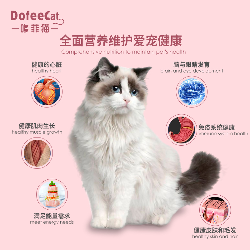 猫粮挑选要多留心，掌握选猫粮的重点