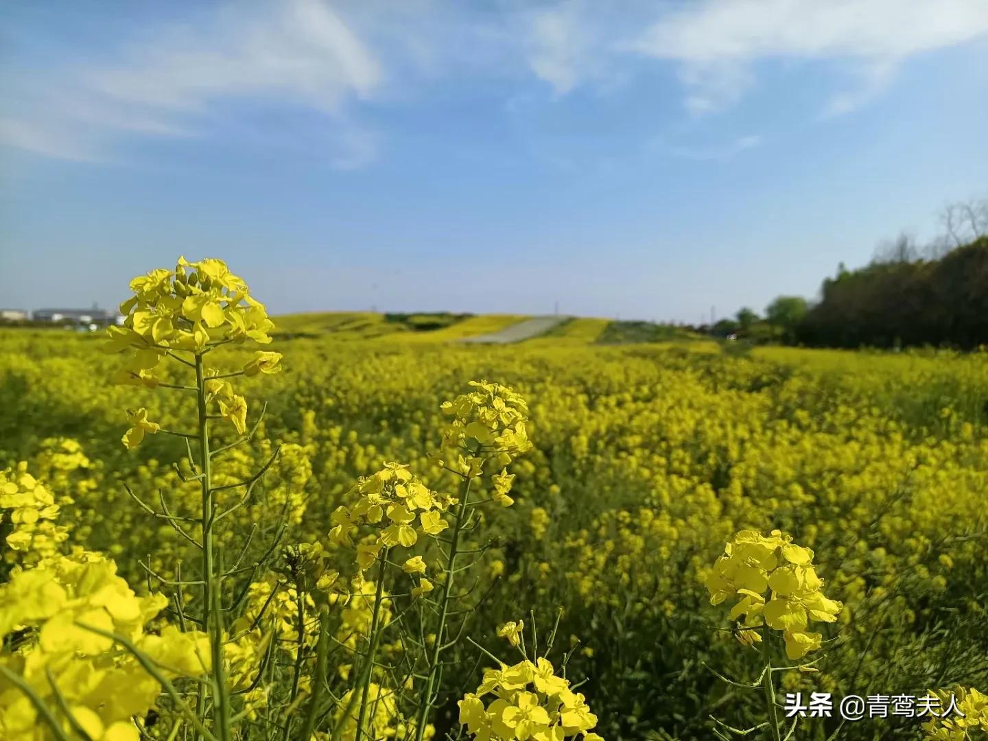 记流水账的靠前天