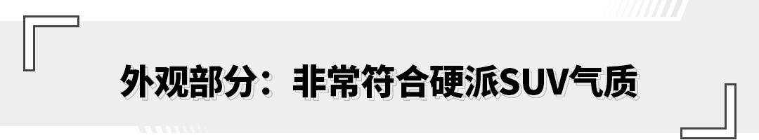 搭载2.0T发动机还带四驱?顶配也就16.19万 试驾哈弗大狗