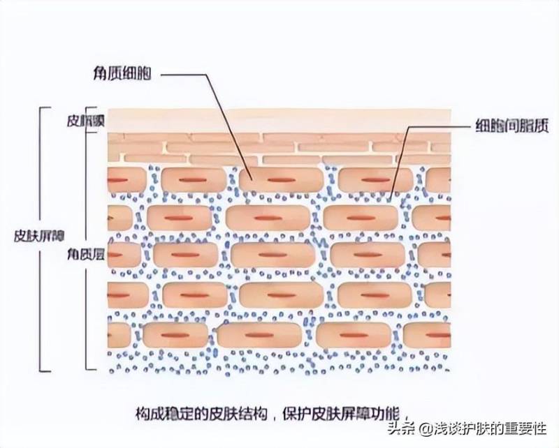 去角质能让皮肤变好吗？多久去一次角质比较好